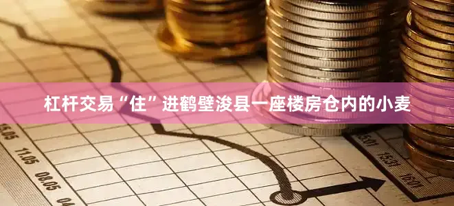 杠杆交易“住”进鹤壁浚县一座楼房仓内的小麦